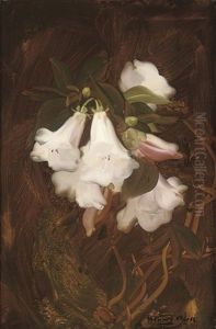 Still Life With Flowers by Stuart James Park