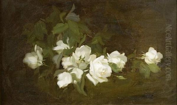White Roses - view 1