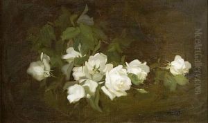 White Roses by Stuart James Park