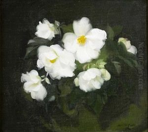 White Begonias by Stuart James Park
