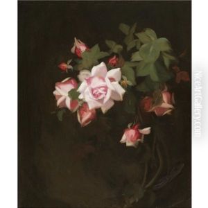 Still Life With Pink Roses by Stuart James Park