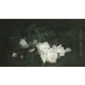 White Roses White Roses