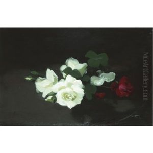 Red And White Roses by Stuart James Park