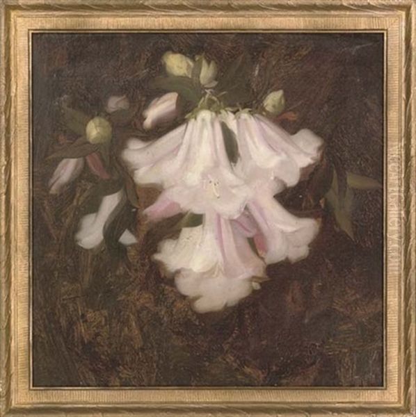 Flower Study - view 1