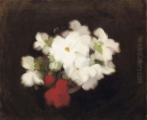 Begonias by Stuart James Park