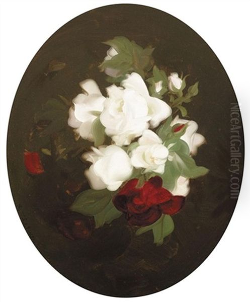 Red And White Roses - view 1
