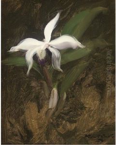 A White Lily by Stuart James Park
