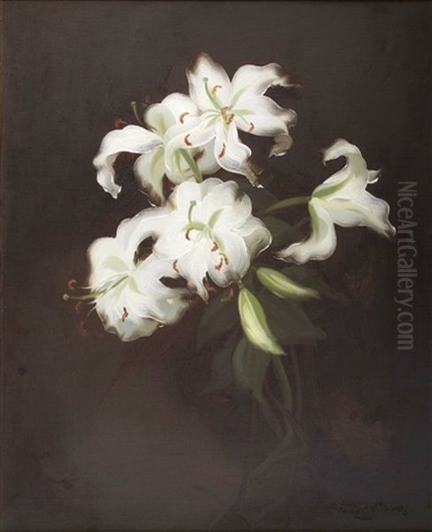 Still Life Of White Lilies - view 1