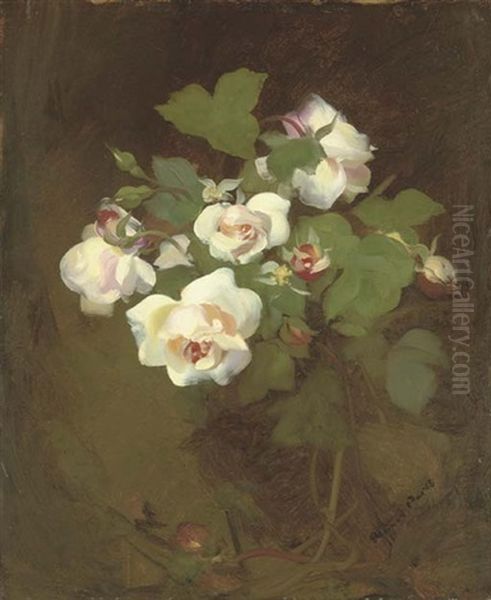 Pink Roses - view 1
