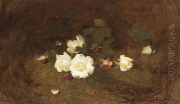 Pink And White Roses - view 1