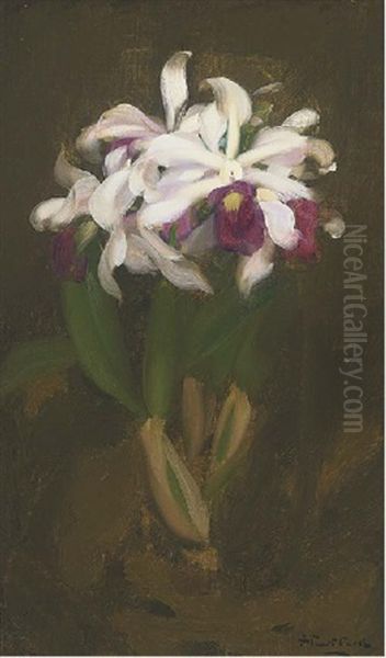 Oriental Lilies - view 1