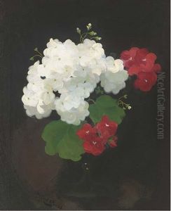 Still Life Of Geraniums In A Vase