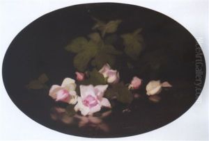 Pink Roses Pink Roses