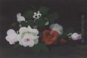 White And Red Roses by Stuart James Park
