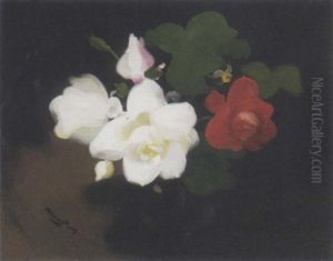 Red And White Roses by Stuart James Park