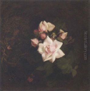 Pink Roses by Stuart James Park