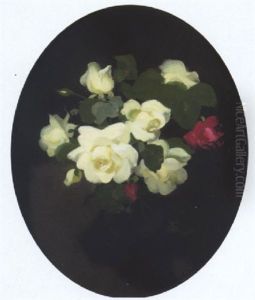 Red And White Roses by Stuart James Park