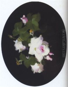 Pink Roses Pink Roses