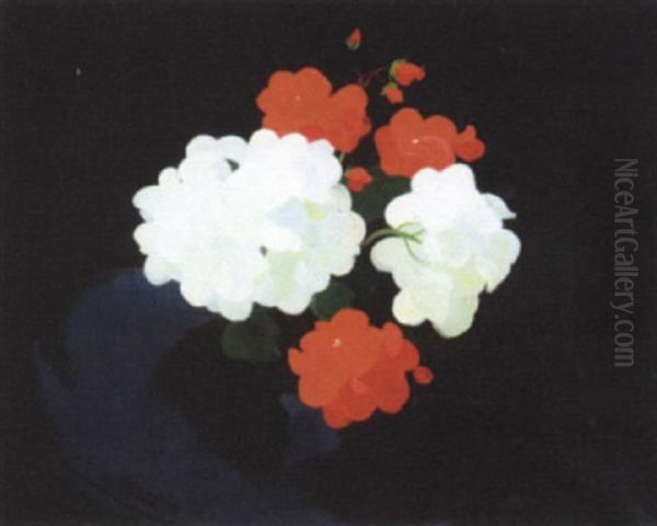 Red And White Geraniums - view 1