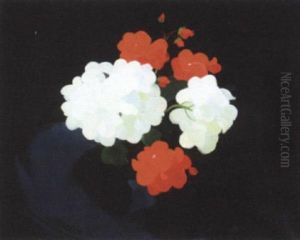 Red And White Geraniums