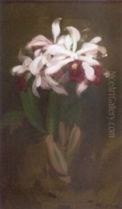 A Still Life Of Lilies by Stuart James Park