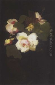 White Roses White Roses