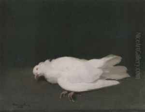 A Dove by Stuart James Park