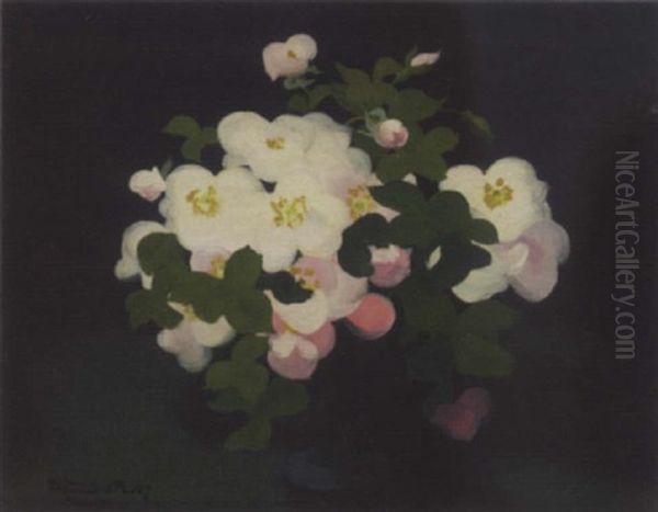 Wild Roses - view 1