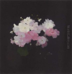 Pink And White Camellias