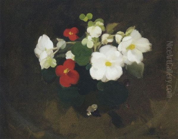 White And Red Camellias - view 1