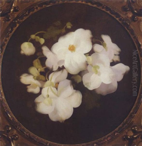Pink Roses - view 1