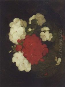 A Still Life Of Geraniums