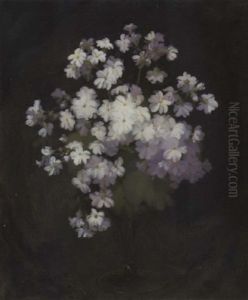 White Violas In A Vase White Violas In A Vase