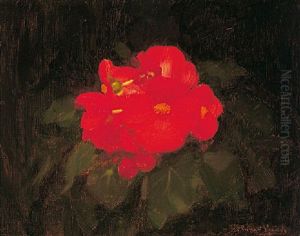 Begonias by Stuart James Park
