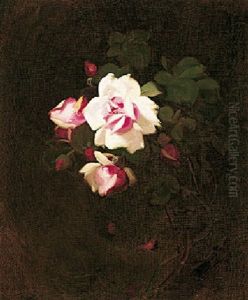 Pink Roses Pink Roses