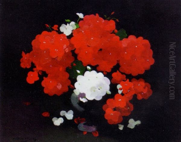 Red And White Geraniums - view 1