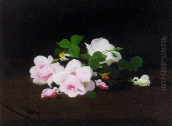 Pink And White Roses - view 1