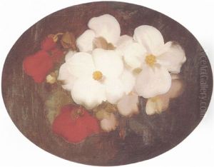 Christmas Roses Christmas Roses