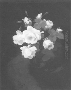 Pink Roses by Stuart James Park