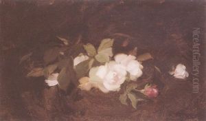 Pink And Red Roses by Stuart James Park