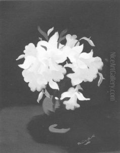 Daffodils by Stuart James Park