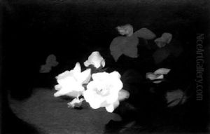 Yellow Roses Yellow Roses