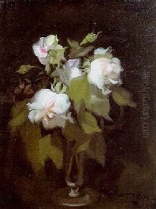 Pink Roses Pink Roses