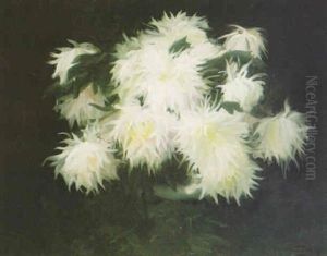 Chrisanthemums by Stuart James Park