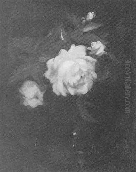 Still Life Of A Rose - view 1