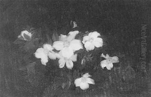 Still Life With White Flowers Still Life With White Flowers