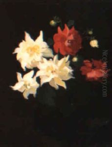 Red And White Dahlias by Stuart James Park
