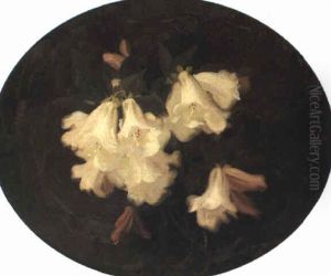 Rhododendrons by Stuart James Park