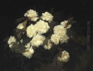 White Camellias White Camellias