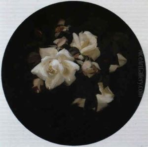 White Roses White Roses